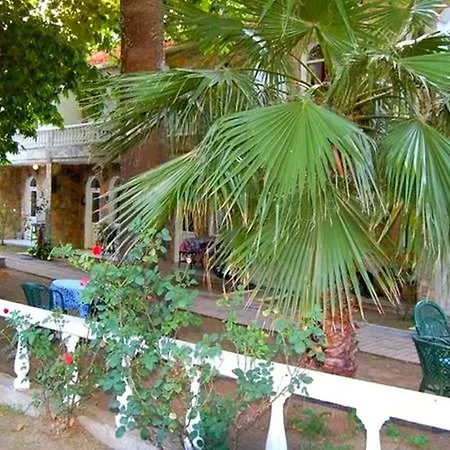 Sun Hotel 4*